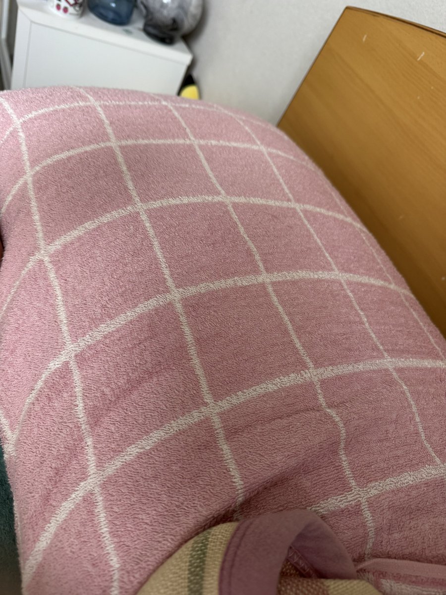 ∠あずにゃ御免 tweet media