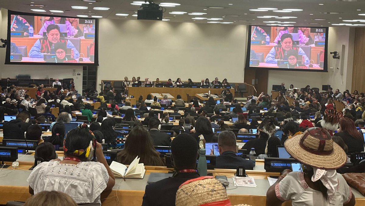 aippnet's tweet image. Asia Indigenous Peoples Caucus call for inclusive peace processes and stronger protection of health rights in conflict settings at #UNPFII25.

Read the full joint statement: tinyurl.com/3h2ubfk5

#UNPFII #IndigenousPeoples #Health #AIPP #UNPFII25 #AsiaIndigenous