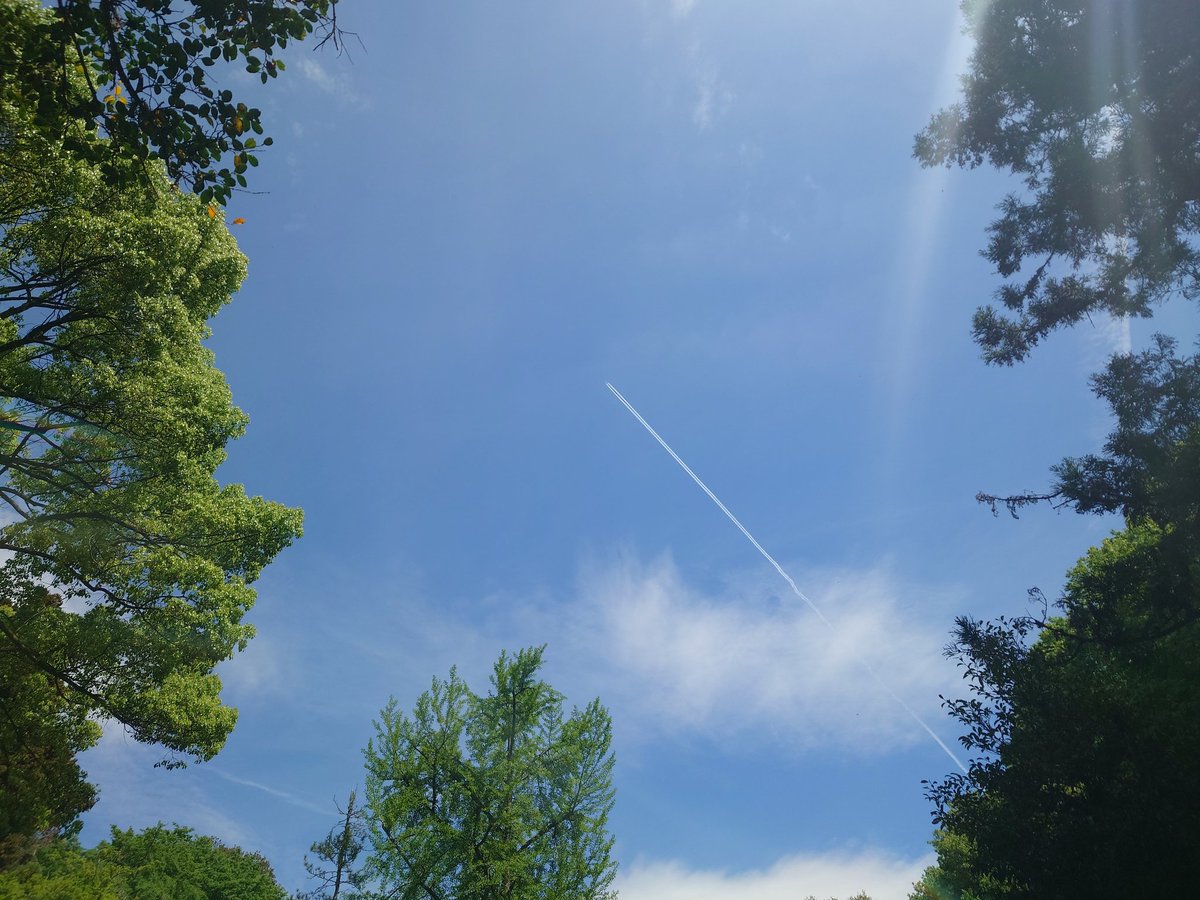 Tsucchiee🎹Key&Synth😉🎵 tweet media