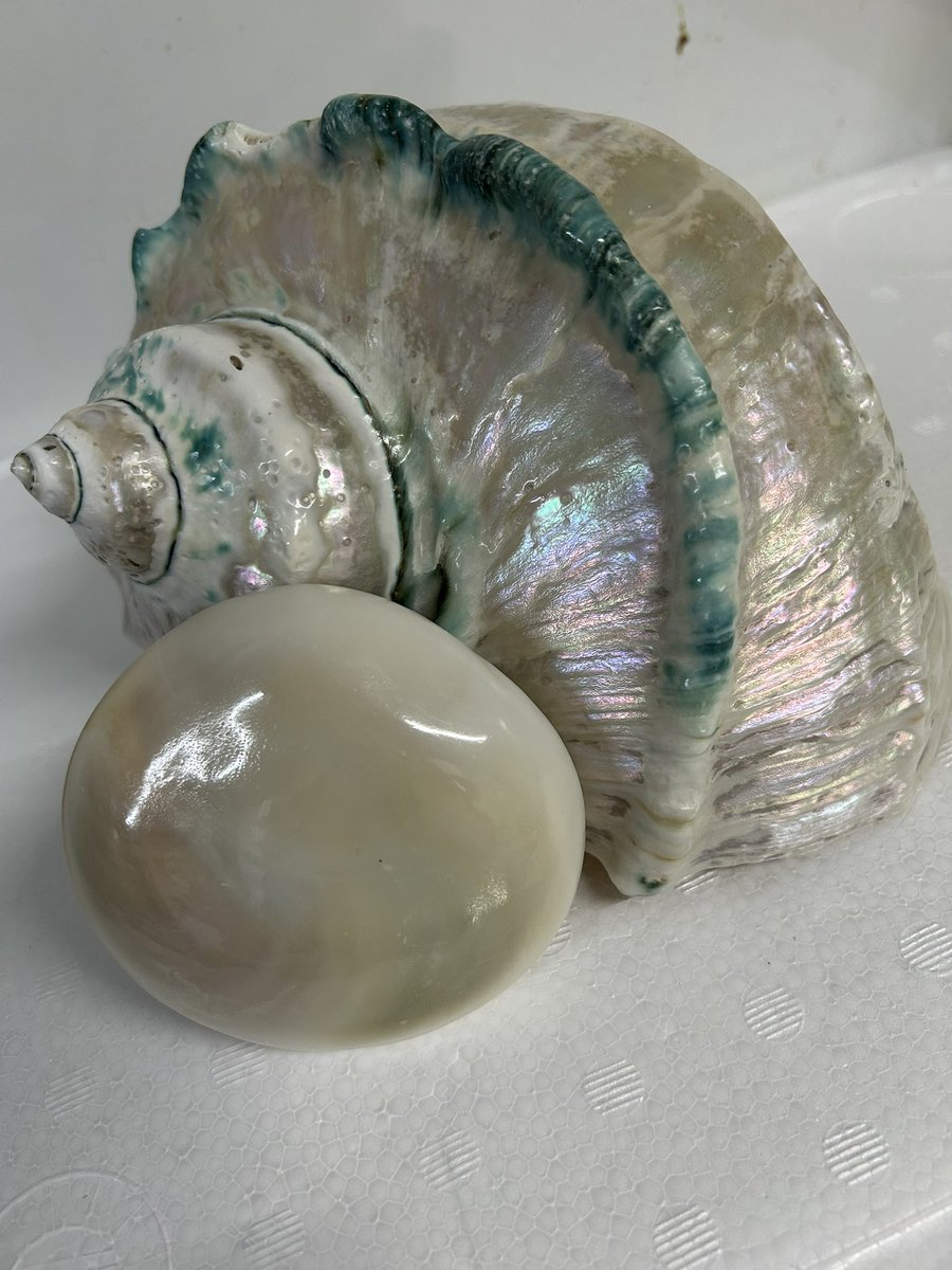 とも姉！！100日で19.8kg落としたオネェ tweet media