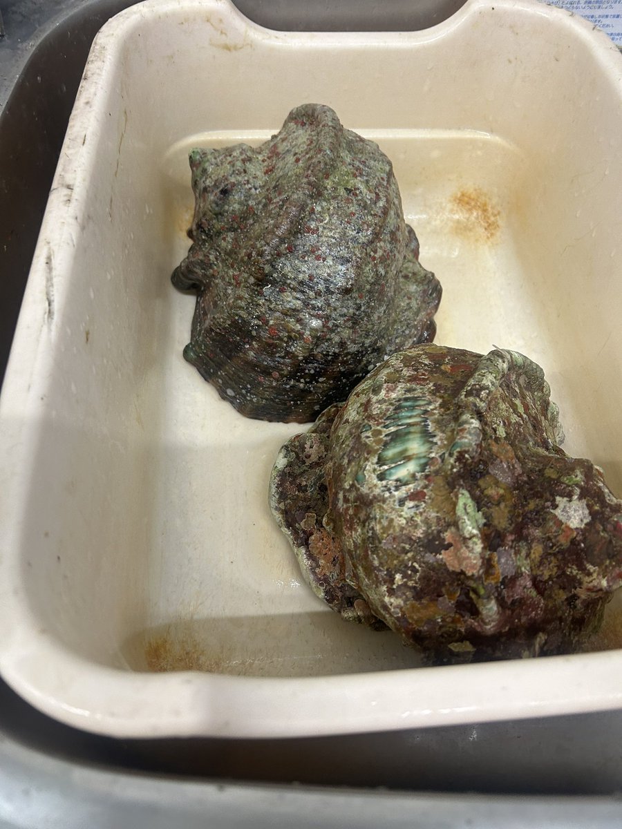 とも姉！！100日で19.8kg落としたオネェ tweet media