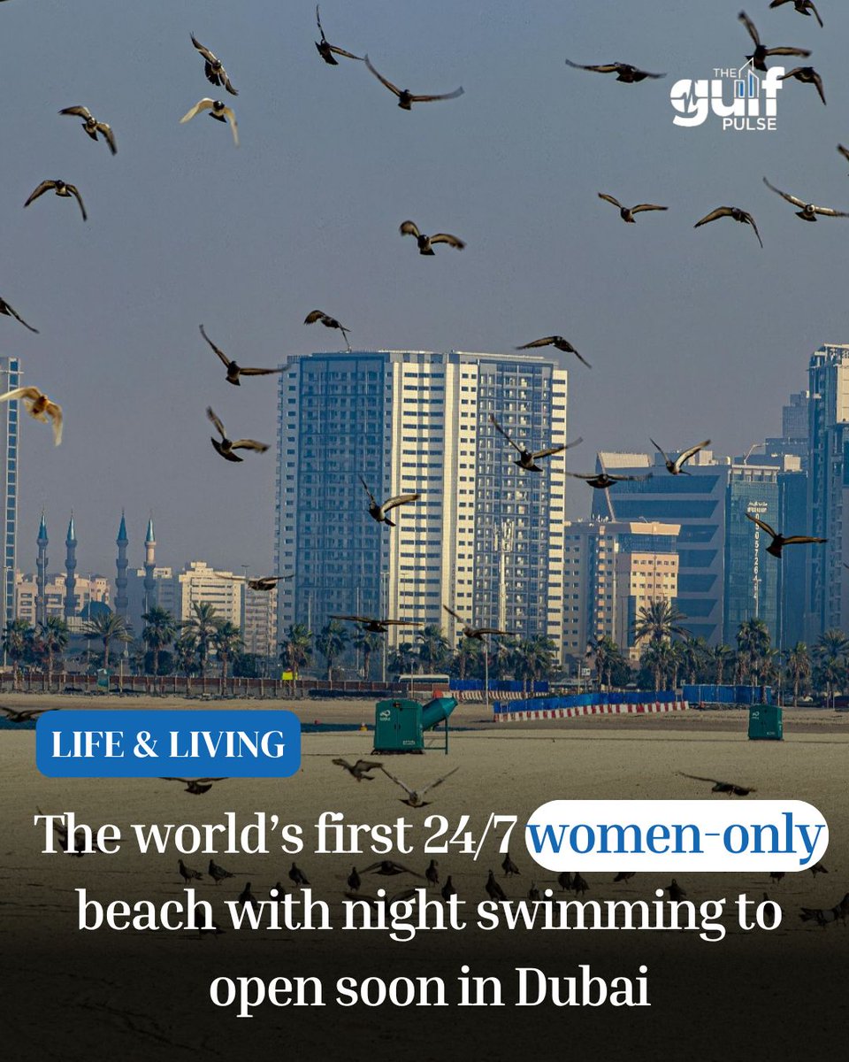 The Gulf Pulse tweet media