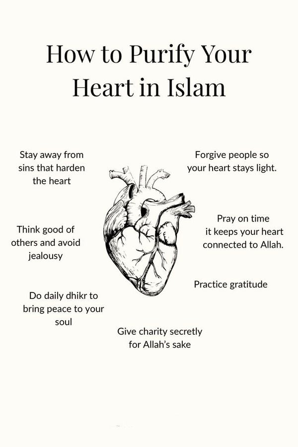 AbarshiYusuf's tweet photo. 7 ways to purify your heart 🤲💦 https://t.co/ixxngFaChO