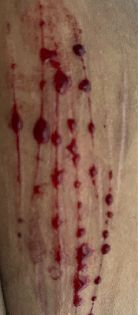 muffin :33 tweet media