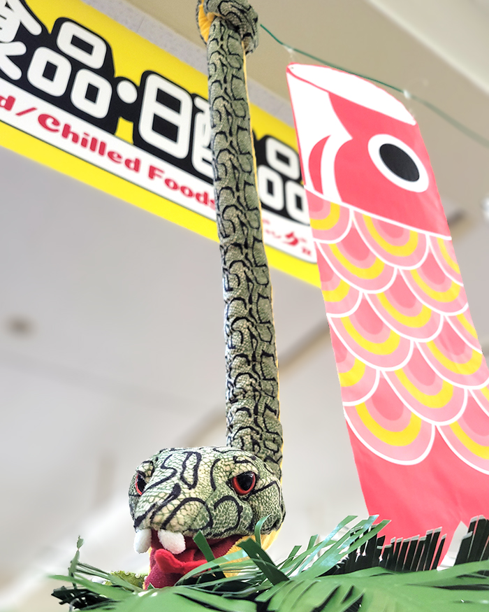／
店内にこいのぼり♪
よーく見ると…
＼

ただいま食品コーナーに
かわいらしいこいのぼり達を
飾っております

よ〜く見てみると…
ハブが混ざっています😂

でも！ハブにもきっと
大空を泳ぐ権利があるはず！
せめて店内だけでも
気持ちよさそうに泳ぐ（？）
その雄姿を
ぜひご覧くださいませ