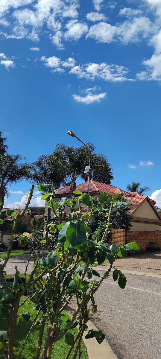 Flora_Monama01's tweet photo. Our Electricity team worked tirelessly across several streets this week to restore public lighting; 

Kiepersol, Kate, Zebra, Waterbuck, Leopard, Sable, Orynx, Jackal, Blesbuck, Lynx Roads to ensure multiple poles are repaired and bulbs replaced.

A total of 61 streetlights are now shining brightly for the community.

⚠️ Cable fault identified at Edwards & Irewald Street.

@CityTshwane