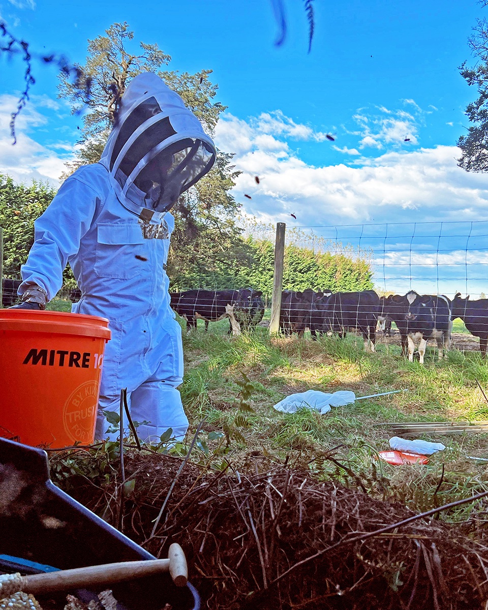 KobeU_Global's tweet image. SAGA Tatsuya studies wasps, their ecology and their relationship with us. The #KobeU researcher is currently in New Zealand studying yellow jackets, as they and other wasps were first introduced by humans. #ResearchMatters

Find out more: kobe-u.ac.jp/en/news/articl…