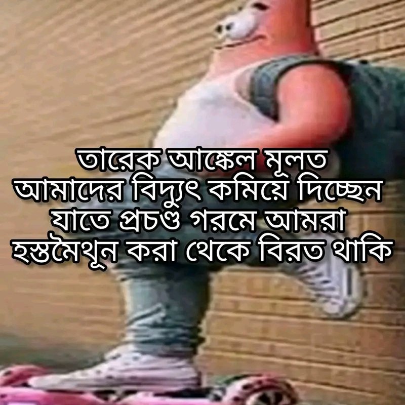 Aesthetic Aluvorta tweet media