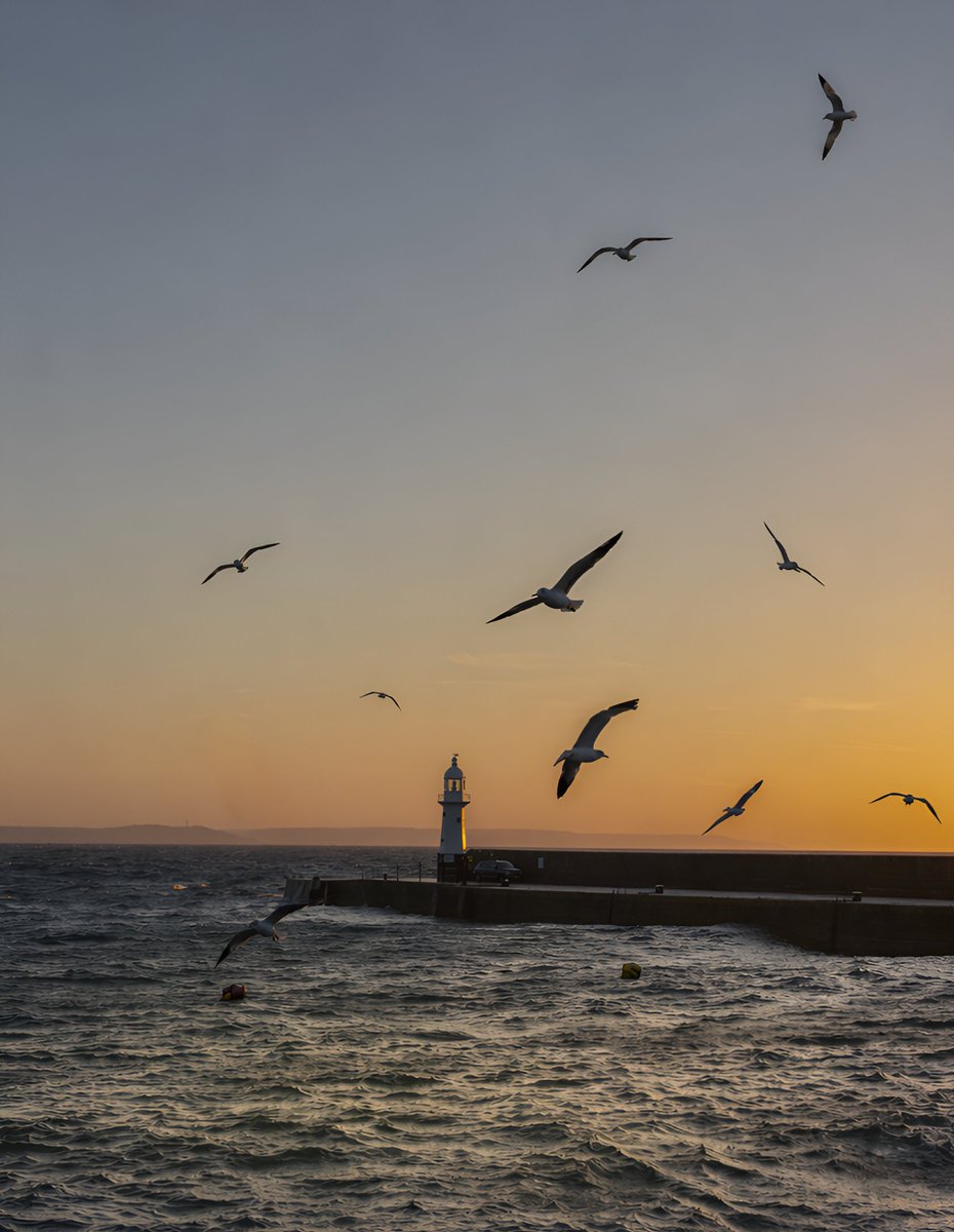 CornwallK8's tweet image. An early dose of Wednesday Wonder! 👌 Dawn breaking to a Cacophony of Gulls!🌅 🎶Good morning, you beauties!😎 
#Cornwall #StormHour #WednesdayVibes #Sunrise