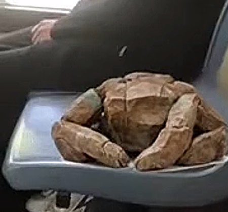 ໑ project hail abby ! ♡ ૮ ․ ․ ྀིა tweet media