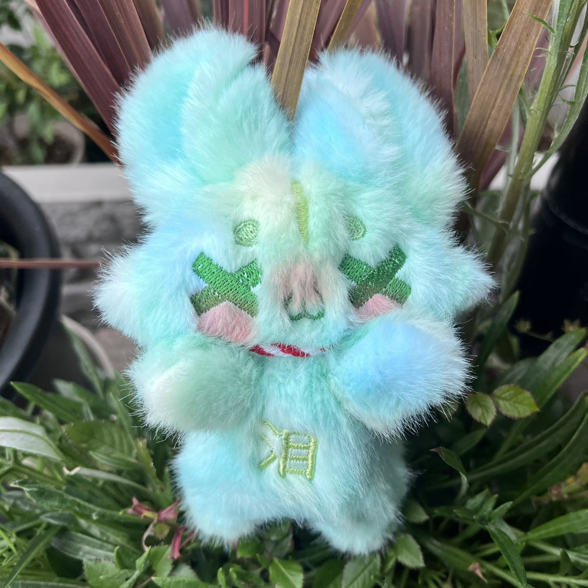 あいく@幻獣のいる生活 tweet media