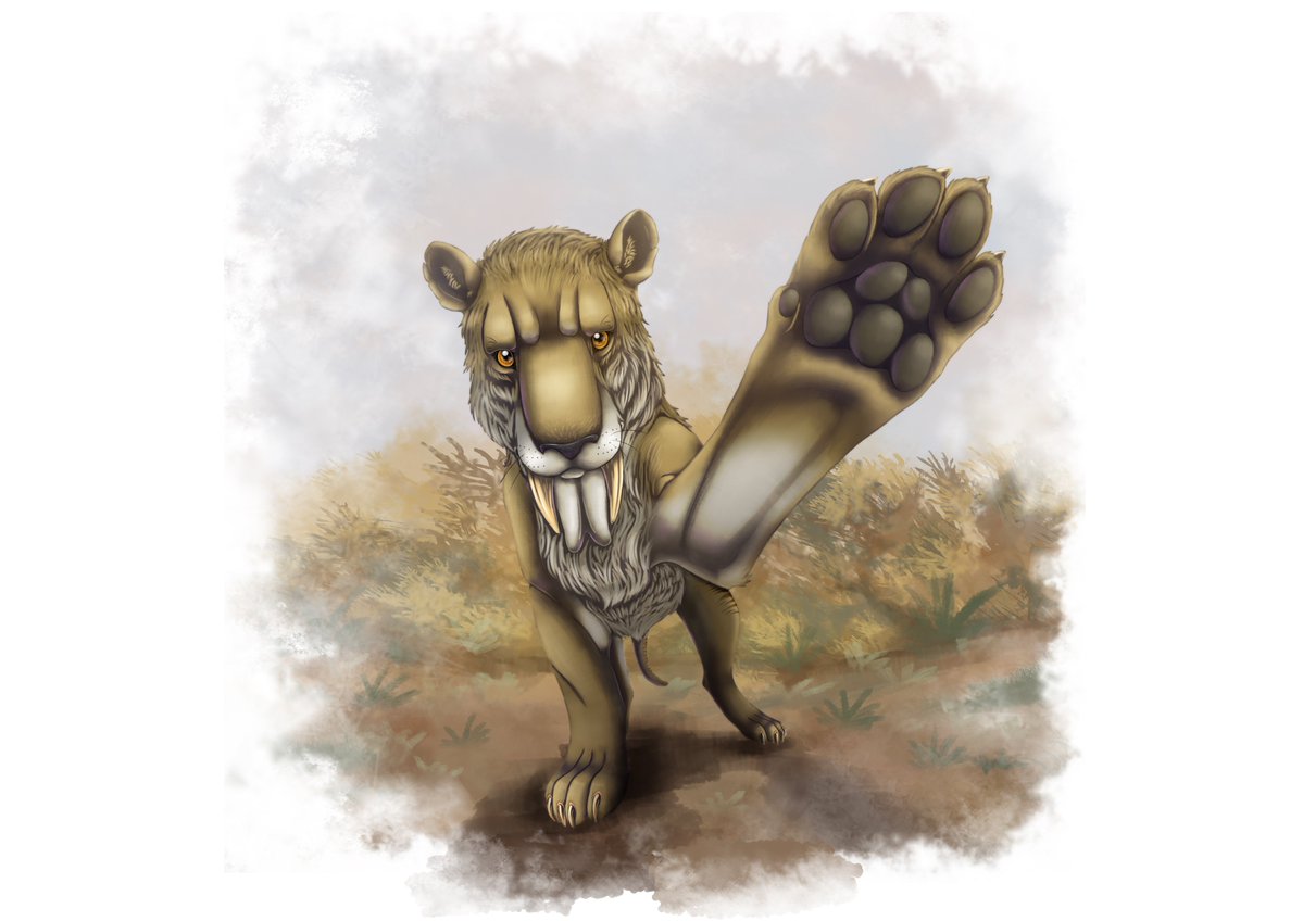FenrierArts's tweet image. #paleotologyart #digitalart #dinosaurs #cats  Tylacosmilus! another piece of paleontology art, this one is from 2014