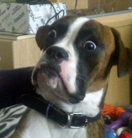 Gale Arrick tweet media