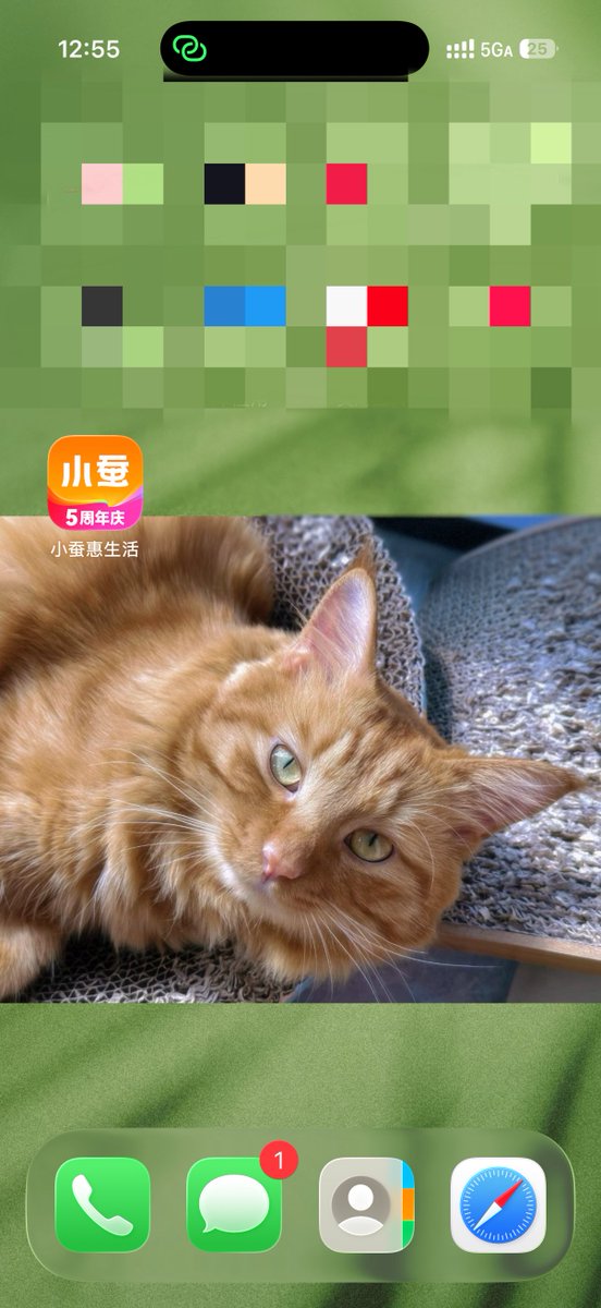 •᷄ࡇ•᷅ tweet media