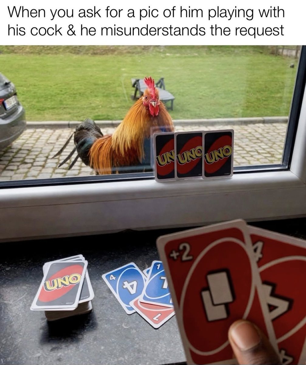 Heufstillrocks #WOMAN! 🇳🇱 tweet media