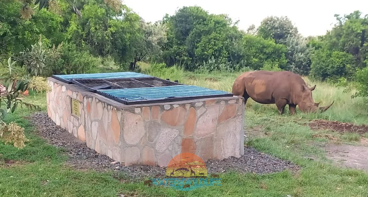 Water4Wildlife Maasai Mara Foundation tweet media