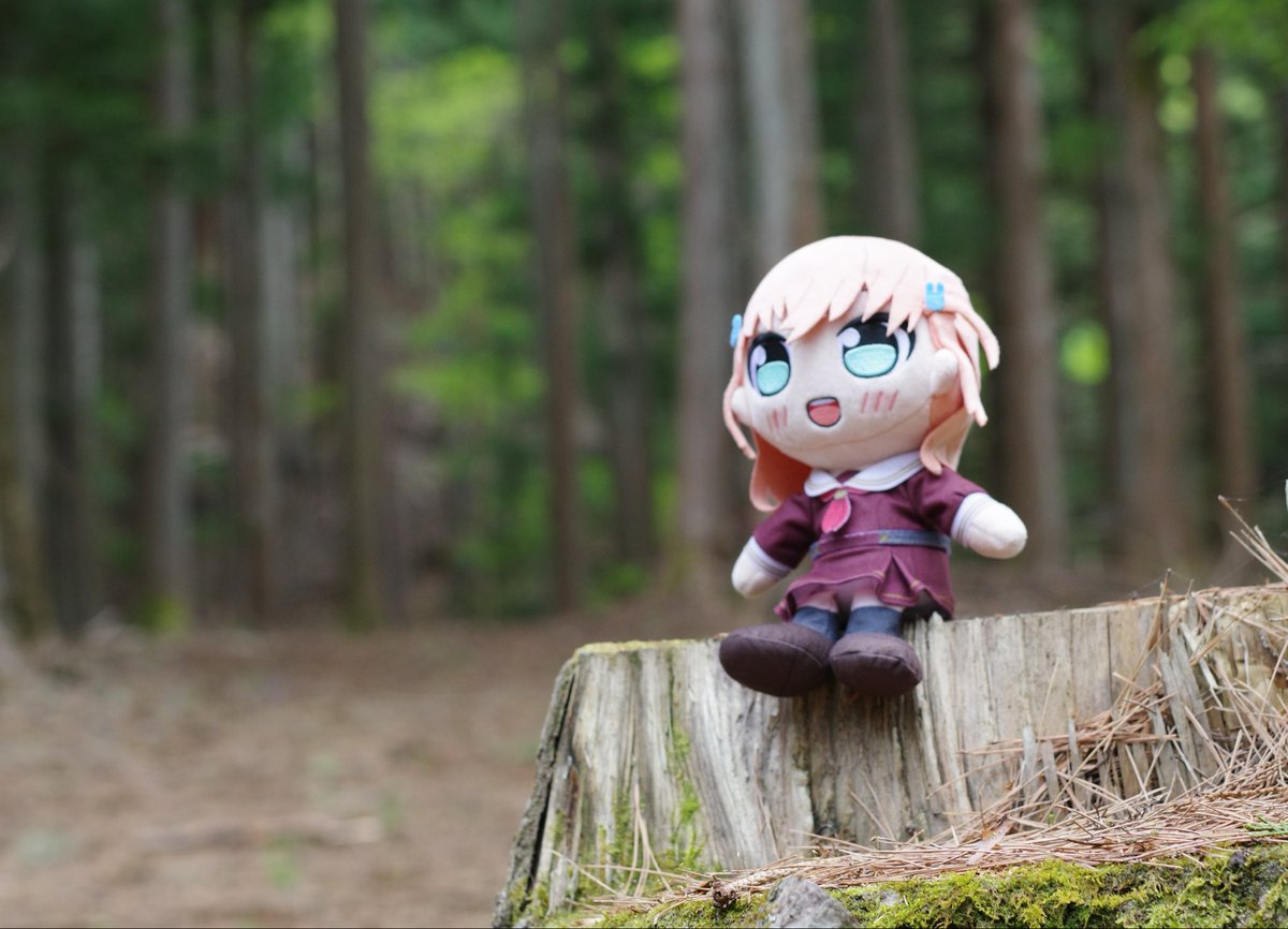 道び完 tweet media