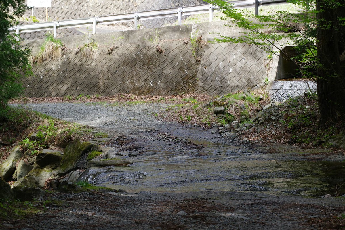 道び完 tweet media