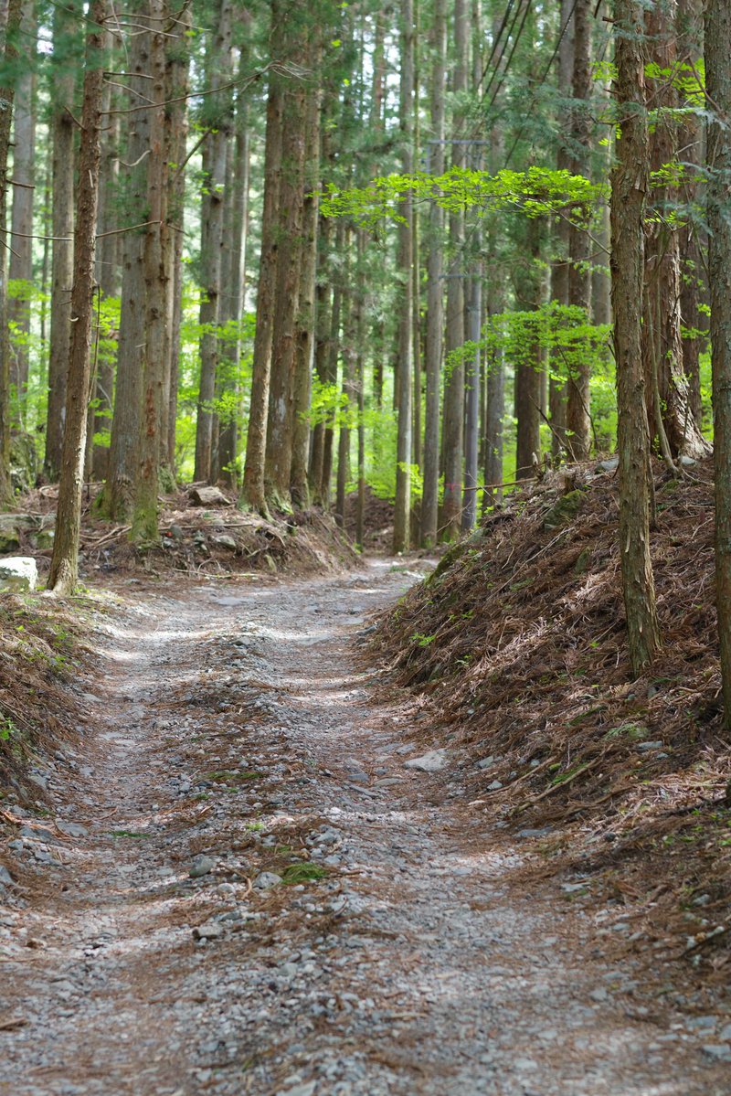 道び完 tweet media