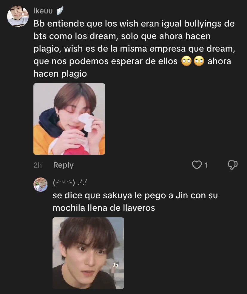 toti 🪽 tweet media