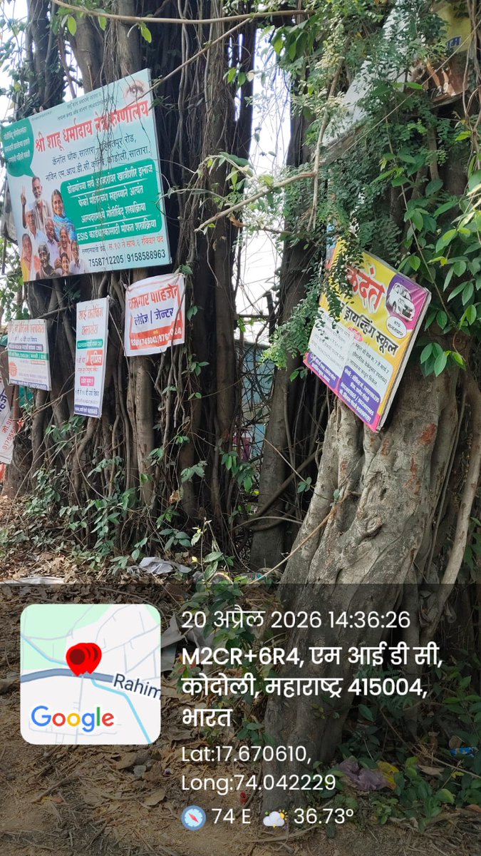 #SavetreesfromConcrete 
Surajya Abhiyan
झाडांचा श्वास थांबवला तर आपल्याला श्वास घेता येईल का