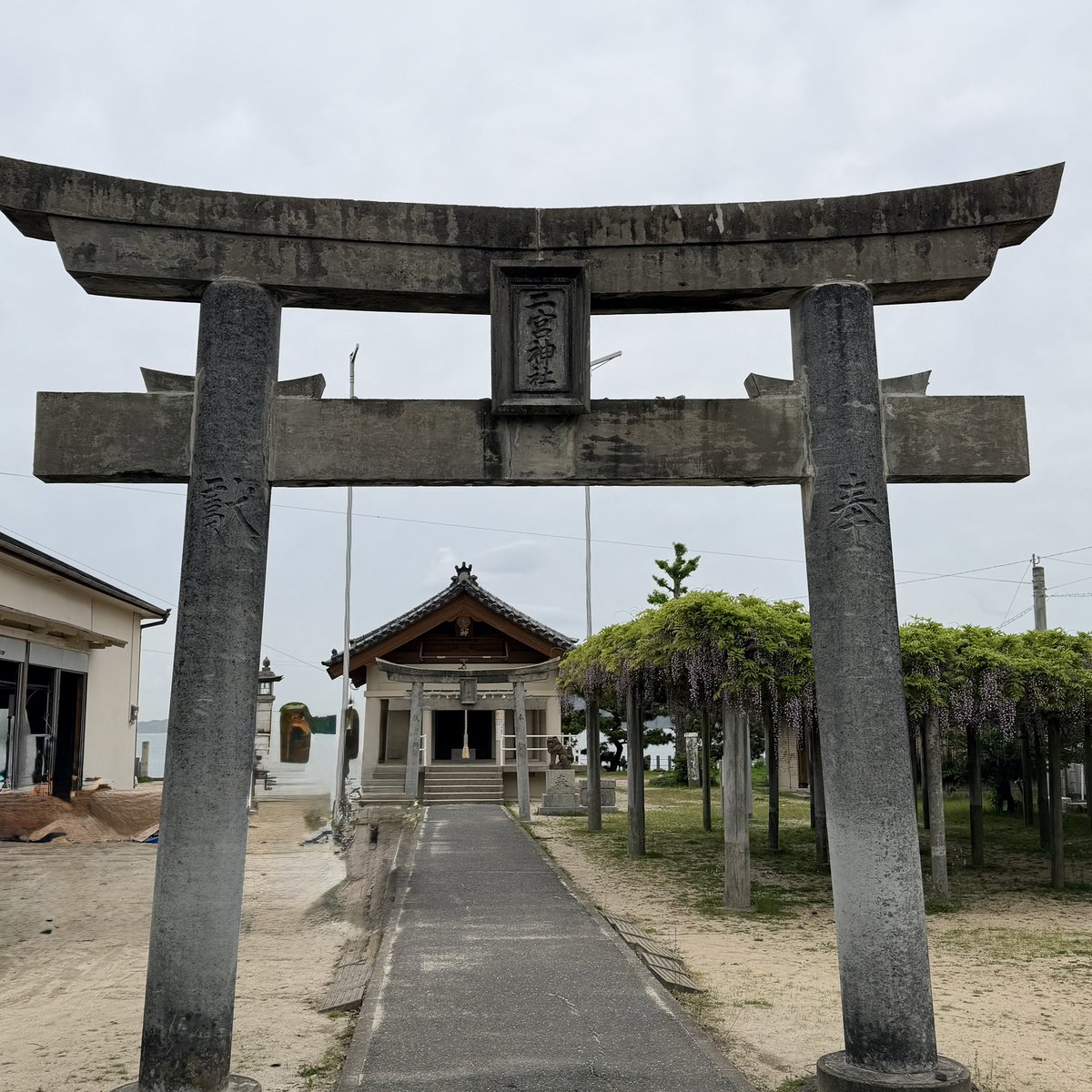 本田奈也花/RKBアナウンサー tweet media