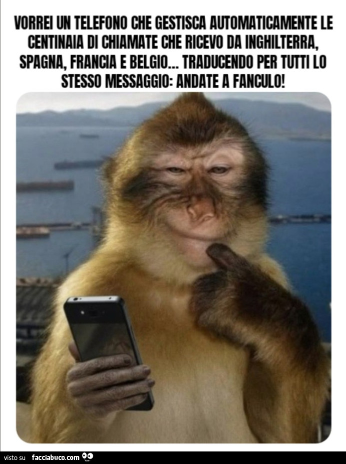 AlePol65_3's tweet image. ☁️☁️ BUONGIORNO E BUON MERCOLEDÌ A TUTTA LA #FAMILY ☁️☁️
[cit].                                (a più tardi)