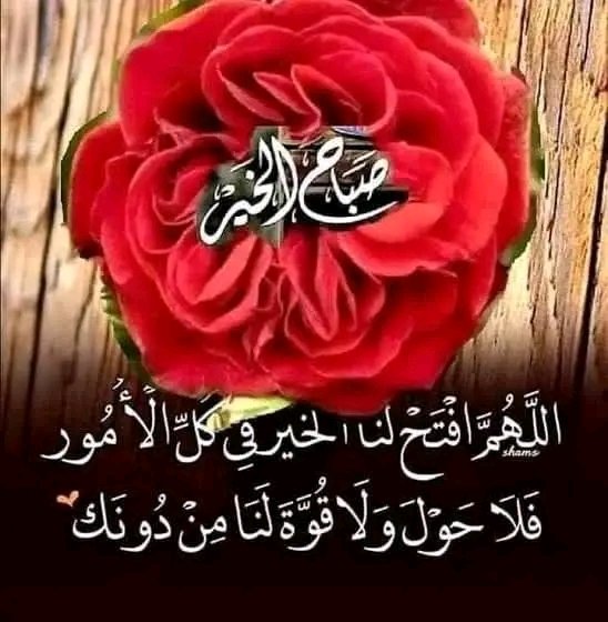 🇸🇩الغزالي🇸🇩 tweet media