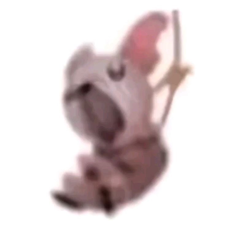 Kirara🌟 tweet media