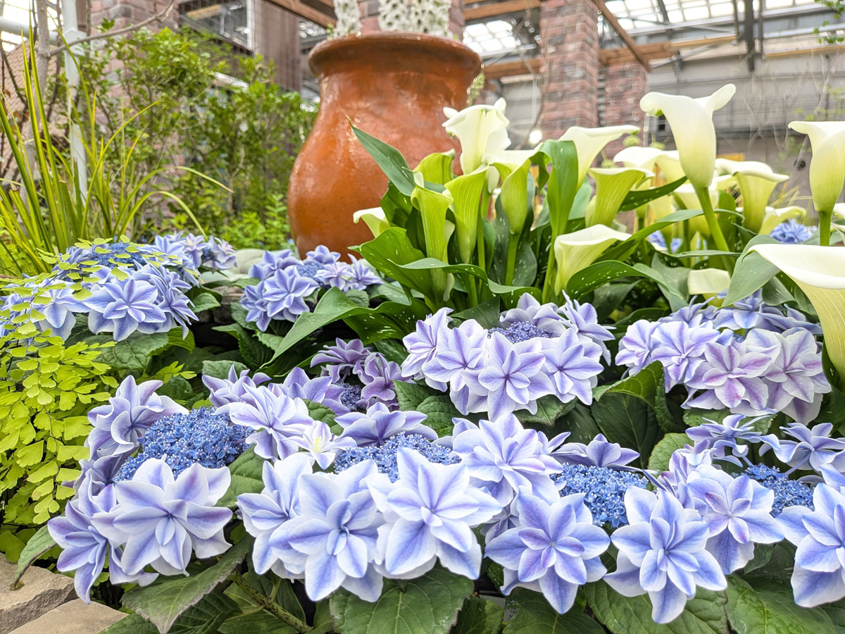 Aichi Now【愛知の観光情報】 tweet media