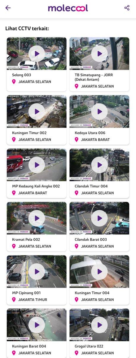 Molecool tweet media