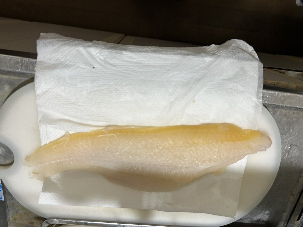 Spirit0116's tweet photo. また霞ヶ浦でアメナマを釣ってきました（╹◡╹)三枚おろしもだいぶ上手になりました(自画自賛)さばいて思うことはサイズ55〜65センチ重さ2キロ前後が食べでもあって美味しそうです！ https://t.co/hIEjJvu1xZ