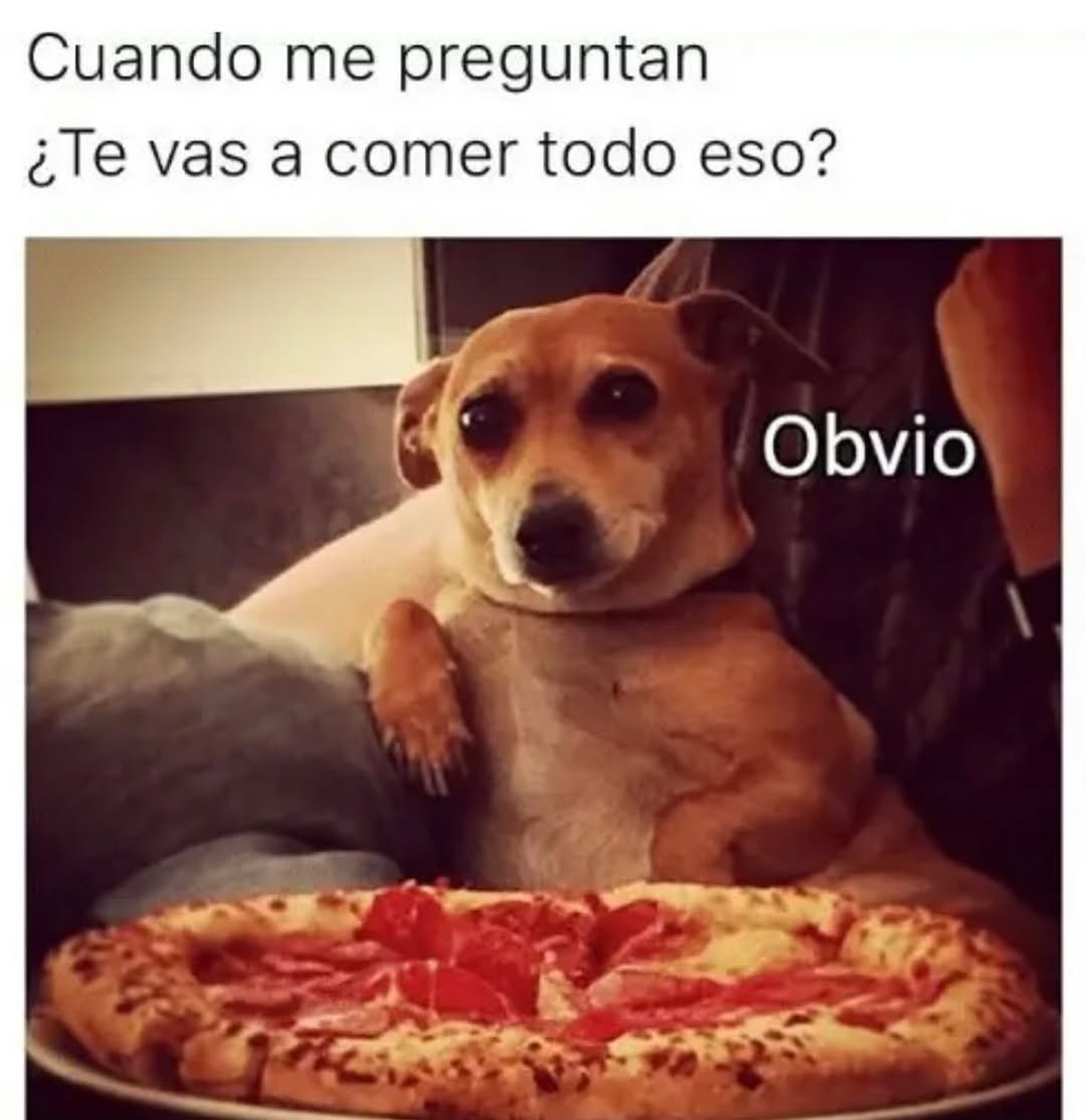 ANIMALITOS SANADORES tweet media