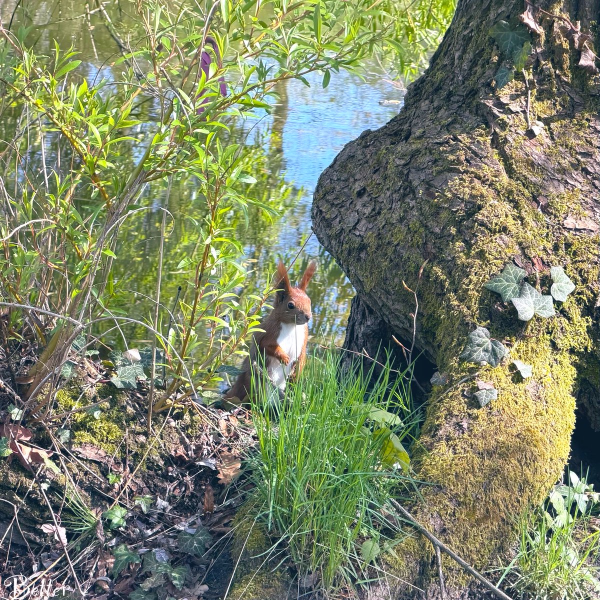 Skye the Reader •secretly writing• tweet media