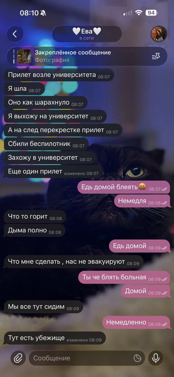 🐾kitekat не предл0гать🐾 tweet media