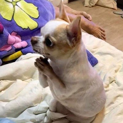 พาดี้แฟนพี่ยุนกิ Zayn’s girl -ㅅ- tweet media