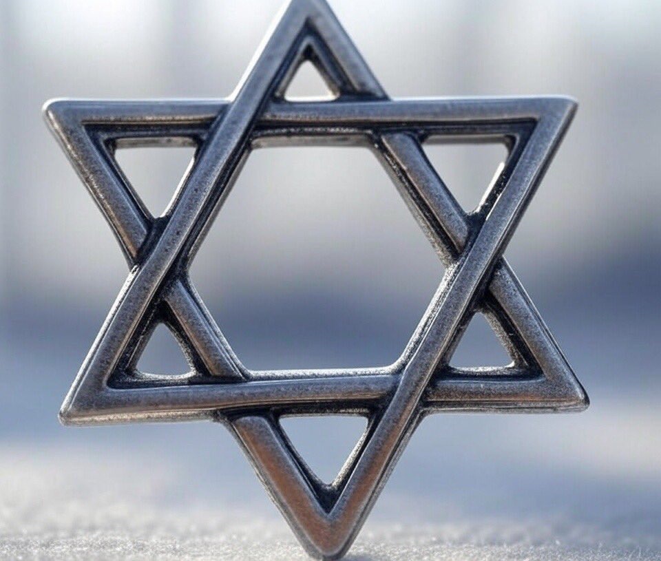 Noah’s Ark 🚢 tweet media