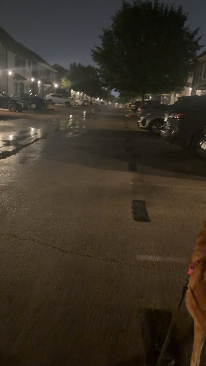 XxCigEnjoyerxX's tweet photo. They don’t see me less I pull up Lamborghini 
Everybody wanna be me 'til I pull up and they meet me
I'ma die slow, sweetie, I ain't never had a meanin'
Just another fuckin' junkie, drain my blood, but don't be greedy
Leave some liquid for the centipedes, they eat away my memory https://t.co/nJL3D3Z3Sg