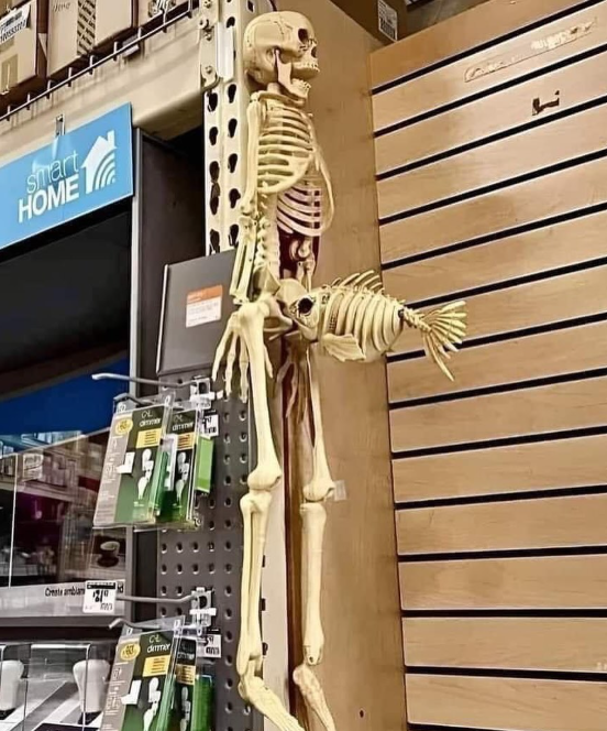 Shitpost 2077 tweet media