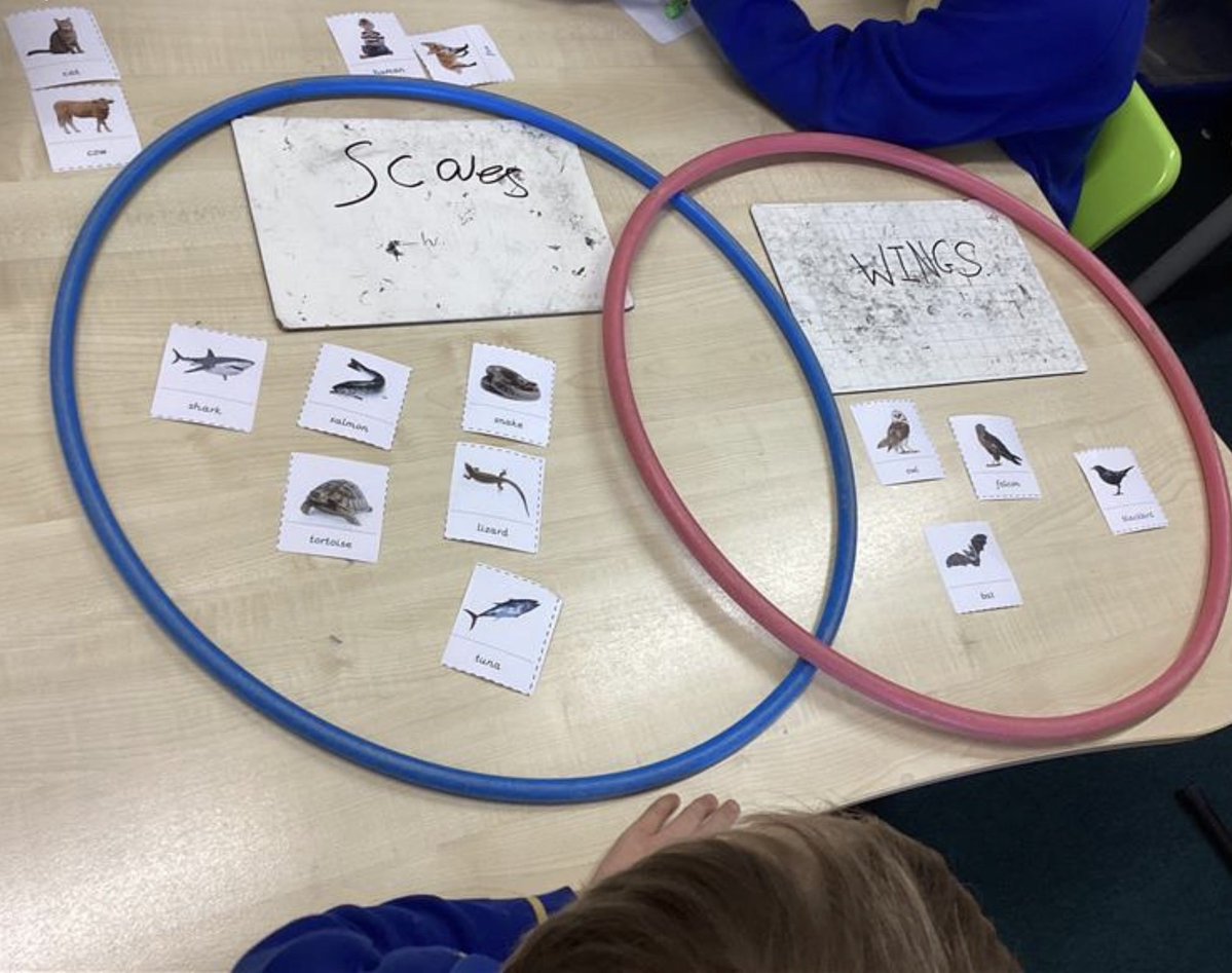 sissinghurstVA's tweet image. Sorting vertebrates and invertebrates in science @kapowprimary  #teamwork