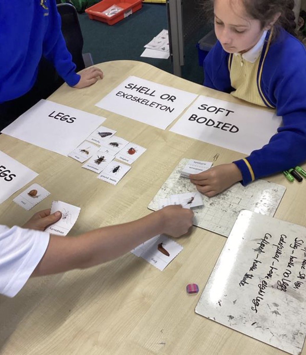 sissinghurstVA's tweet image. Sorting vertebrates and invertebrates in science @kapowprimary  #teamwork