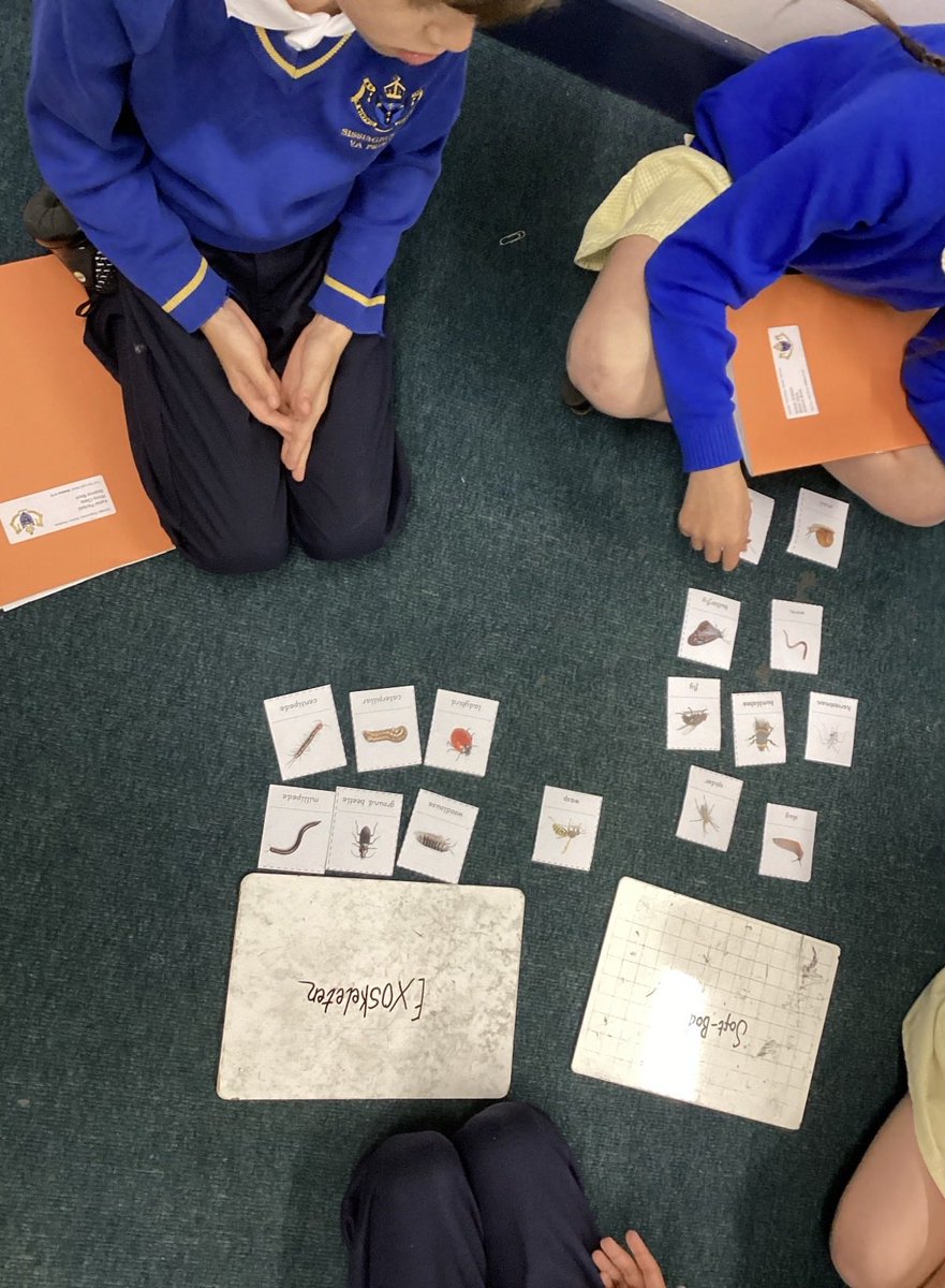 sissinghurstVA's tweet image. Sorting vertebrates and invertebrates in science @kapowprimary  #teamwork
