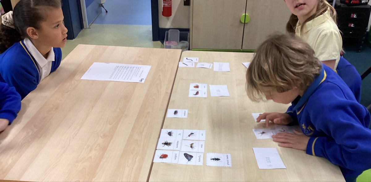 sissinghurstVA's tweet image. Sorting vertebrates and invertebrates in science @kapowprimary  #teamwork