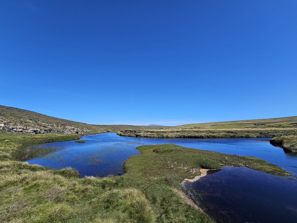 kelper60's tweet image. Part of the Chartres river on the farm with the same name.. #trout #fishing