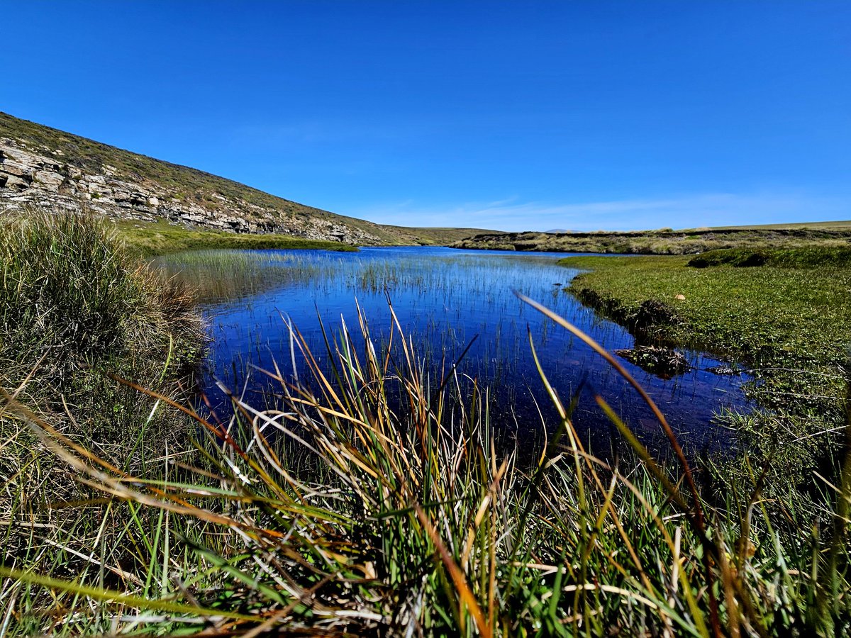 kelper60's tweet image. Part of the Chartres river on the farm with the same name.. #trout #fishing