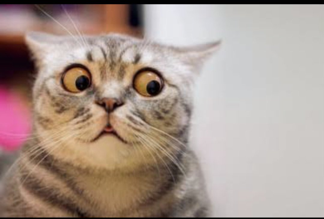 Gale Arrick tweet media