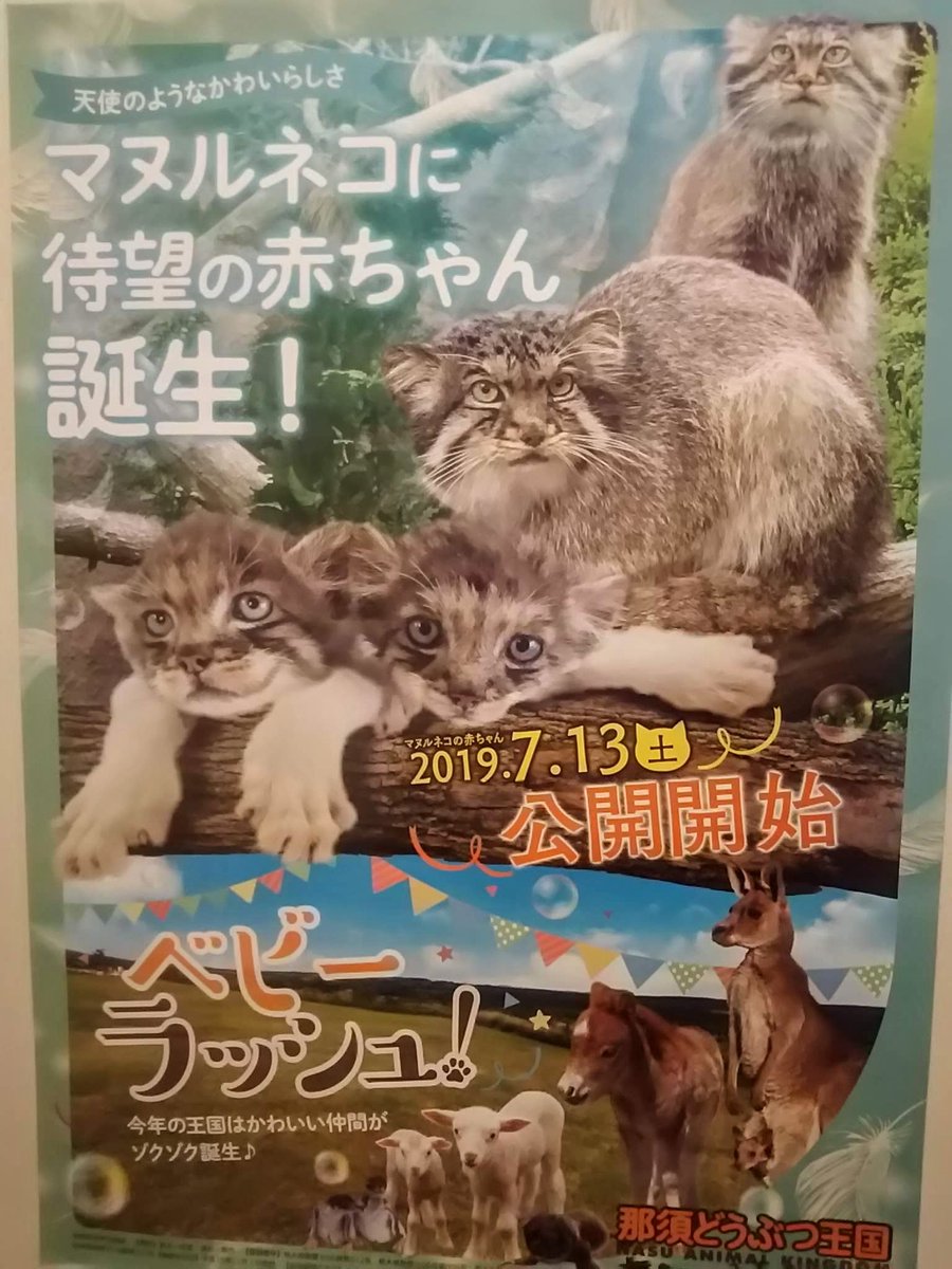 Kazumi Kaneko tweet media