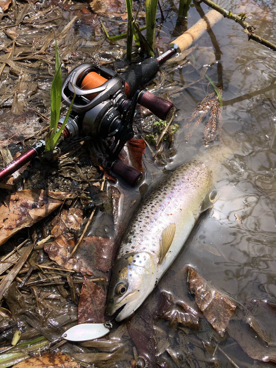 zisakukebari59's tweet photo. モチベーションが上がった勢いでちょい釣り🎣2時間で何とかブラウン7匹😆暖かくなり入釣者が増えて魚はスレ気味でした💦
#北海道 #ベイトフィネス #Fishman #Beams #inte79UL #SHIMANO #Scorpion #BFS #ブラウントラウト https://t.co/KxjpoMq50M