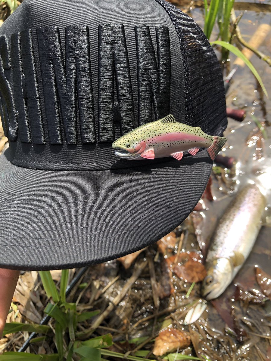 zisakukebari59's tweet photo. モチベーションが上がった勢いでちょい釣り🎣2時間で何とかブラウン7匹😆暖かくなり入釣者が増えて魚はスレ気味でした💦
#北海道 #ベイトフィネス #Fishman #Beams #inte79UL #SHIMANO #Scorpion #BFS #ブラウントラウト https://t.co/KxjpoMq50M