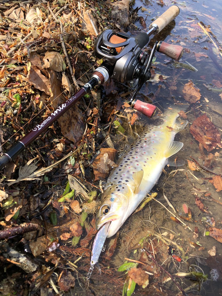 zisakukebari59's tweet photo. モチベーションが上がった勢いでちょい釣り🎣2時間で何とかブラウン7匹😆暖かくなり入釣者が増えて魚はスレ気味でした💦
#北海道 #ベイトフィネス #Fishman #Beams #inte79UL #SHIMANO #Scorpion #BFS #ブラウントラウト https://t.co/KxjpoMq50M
